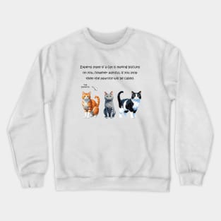 Experts state if a cat is making biscuits - funny watercolour cat design Crewneck Sweatshirt